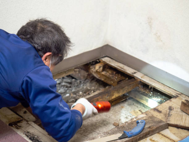 Best Industrial Mold Remediation in Stansbury Park, UT