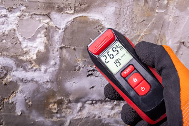 Best Localized Mold Remediation (e.g., coastal areas, humid climates) in Stansbury Park, UT
